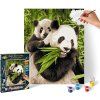 Medvedíky Panda