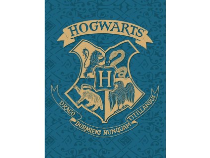 Detská fleece deka Harry Potter Blue, 130x170 cm