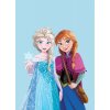 Detská deka Ľadové Kráľovstvo Anna a Elsa, 100/140 cm