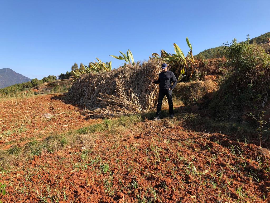 Příběh konjaku: rostlina, která dala hubnutí nový rozměr