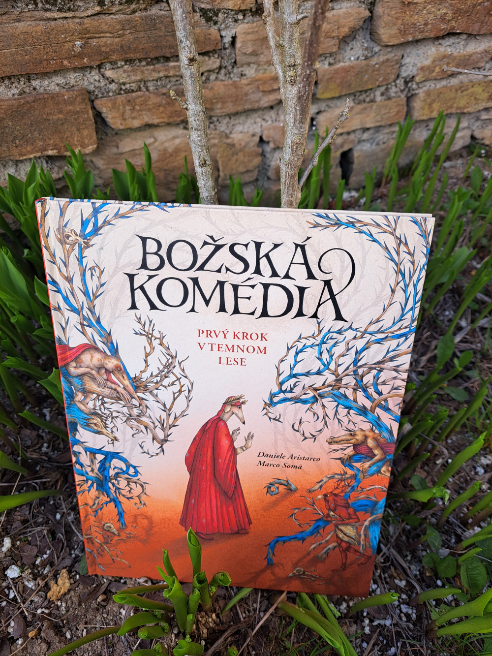 Božská komédia - prvý krok v temnom lese