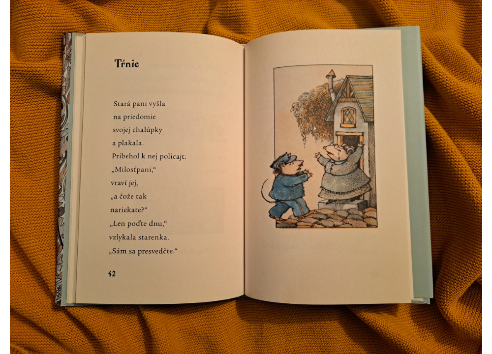 mysacia_polievka_04