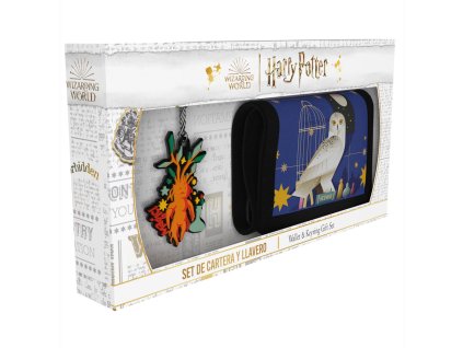 Balenie Harry Potter peňaženka + kľúčenka
