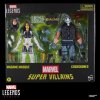Marvel Legends Series Super Villains Madame Masque & Crossbones balenie 2 figúrok 15cm