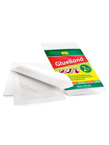 GlueBand WEB 550x391 2