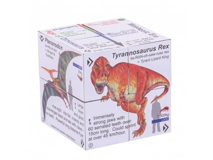 Zoobookoo Kniha v kostce Dinosauři