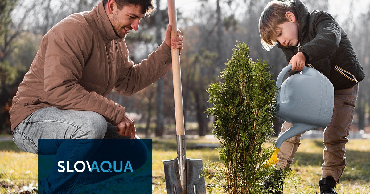 Plánujete si vytvoriť vlastnú záhradu? Týchto 5 tipov by ste mali brať do úvahy.