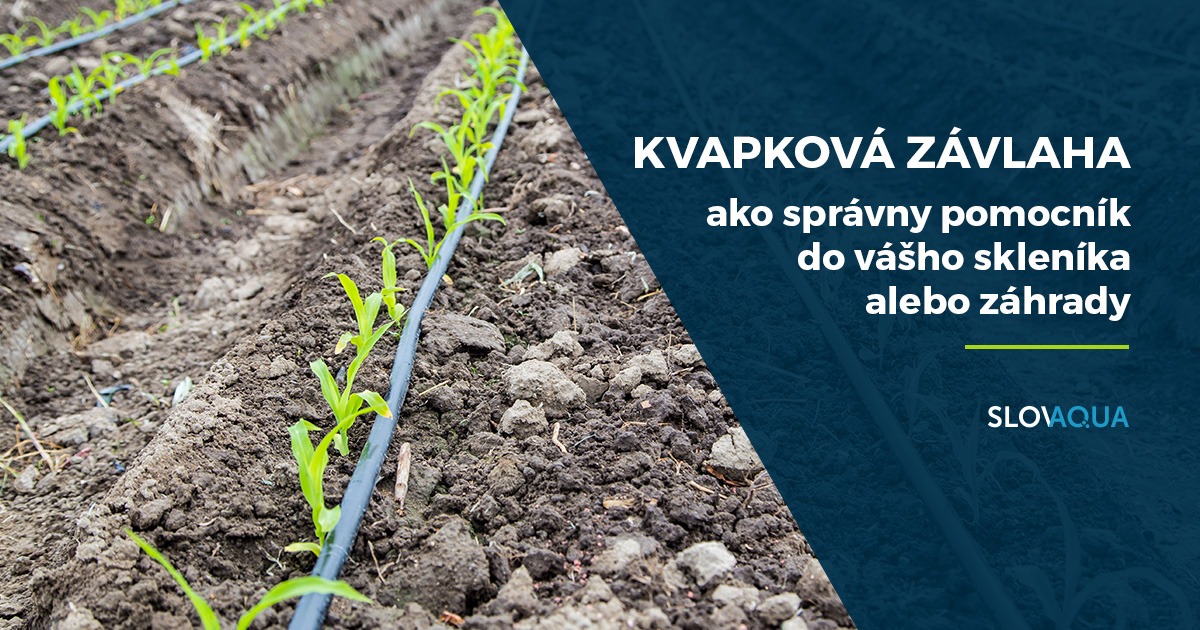 Kvapková závlaha ako správny pomocník do vášho skleníka alebo záhrady