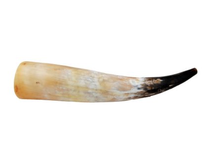 16656 1 rucadlo z volskeho rohu 41 45 cm