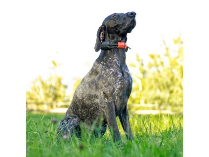 Obojok pre ďalšieho psa DOG GPS X30