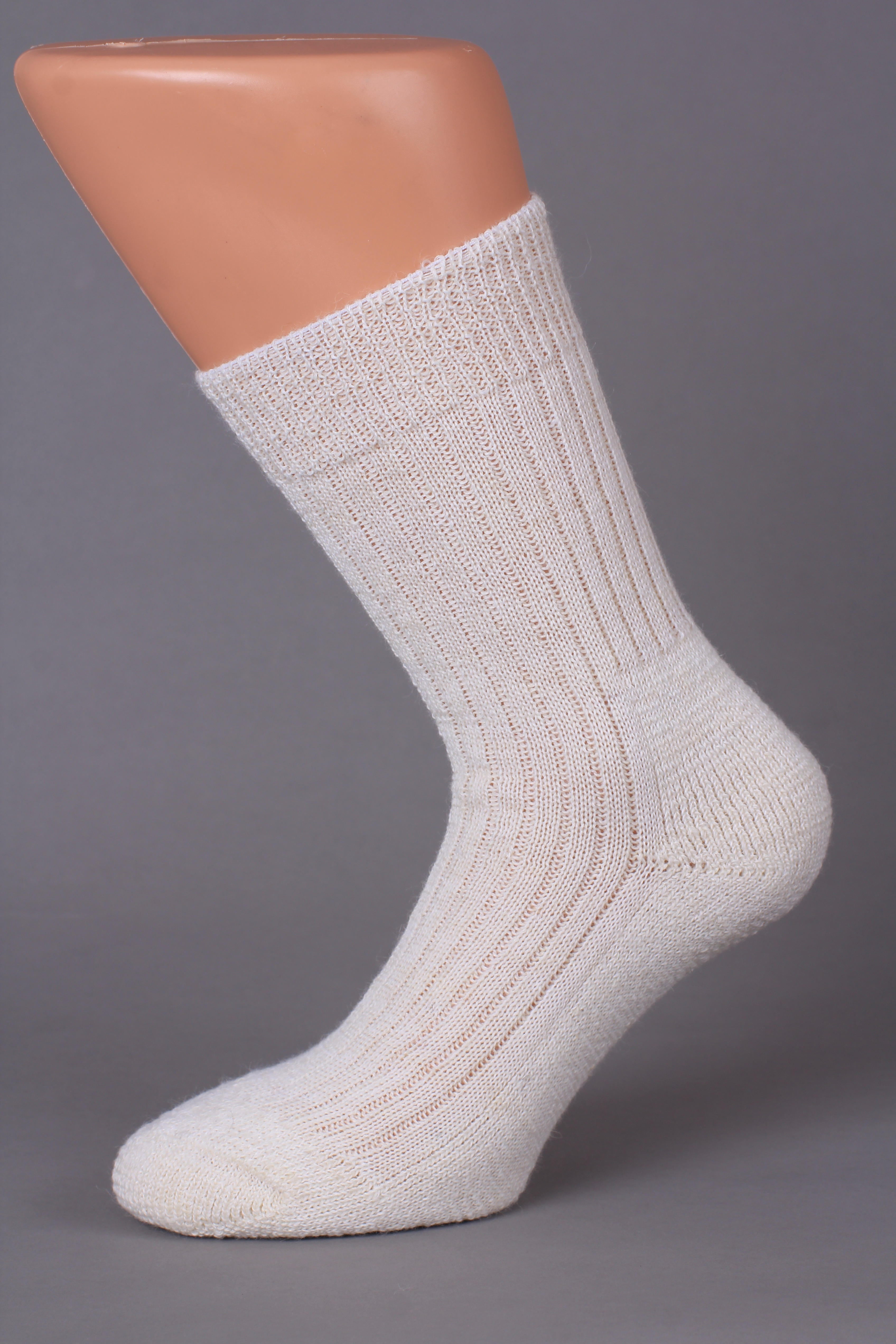 SLOVANŠTÍ BOSONOŽCI