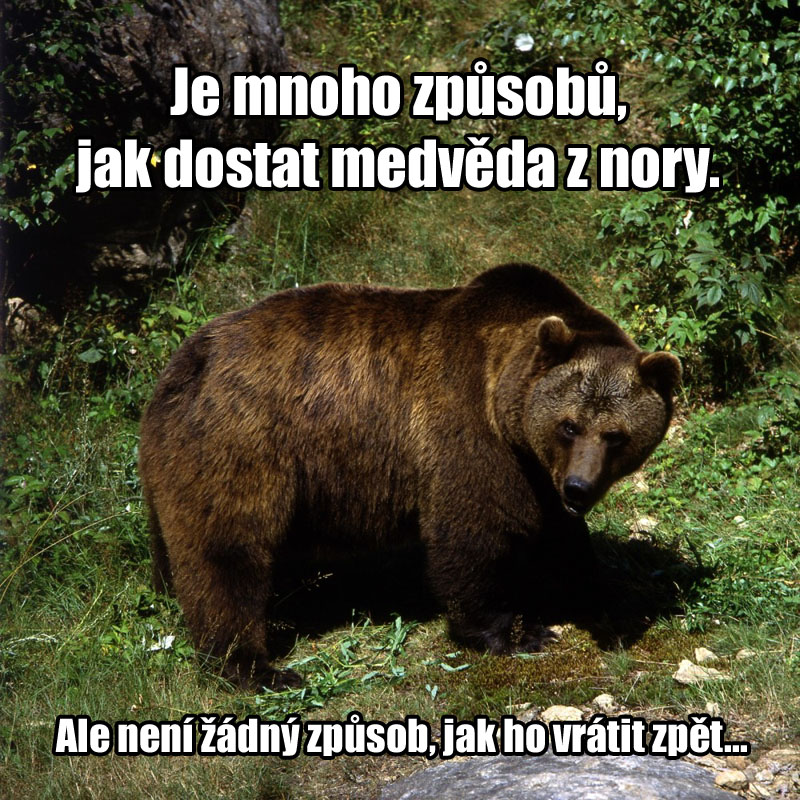 Když kousají ruského medvěda