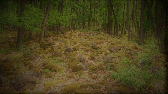 VAL OBROV NA SLOVENSKU, ZÁHADA ROZLÚŠŤENÁ