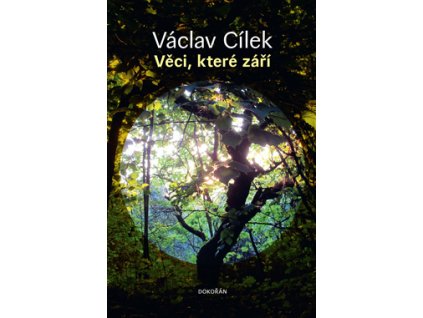 Věci, které září