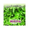 Bylinný polštářek - Máta
