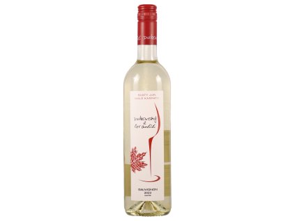 Dubovský & Grančič - Sauvignon 2023 - Bílé víno - Jakostní víno VOC
