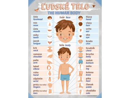 Ludske telo na web (1)