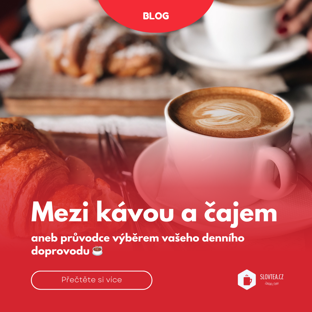 Mezi Kávou a Čajem aneb Průvodce výběrem vašeho denního doprovodu ☕