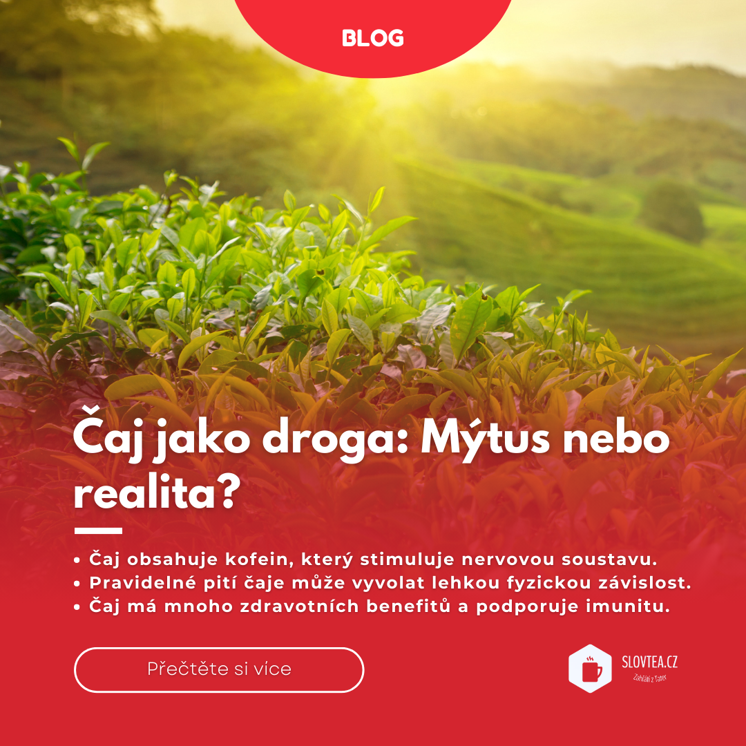 Čaj jako droga: Mýtus nebo realita?