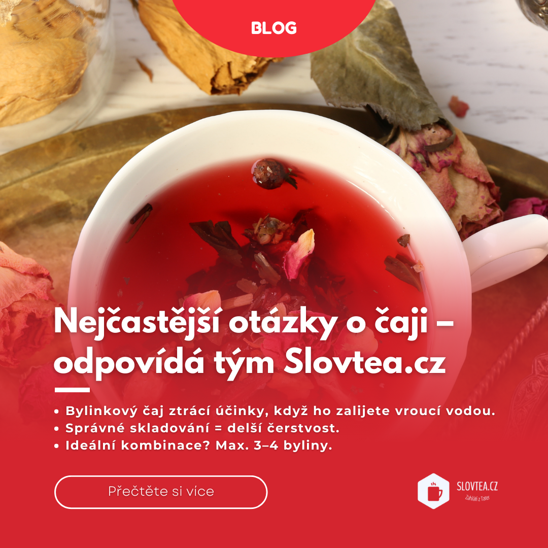 Nejčastější otázky o čaji – odpovídá tým SlovTea.cz