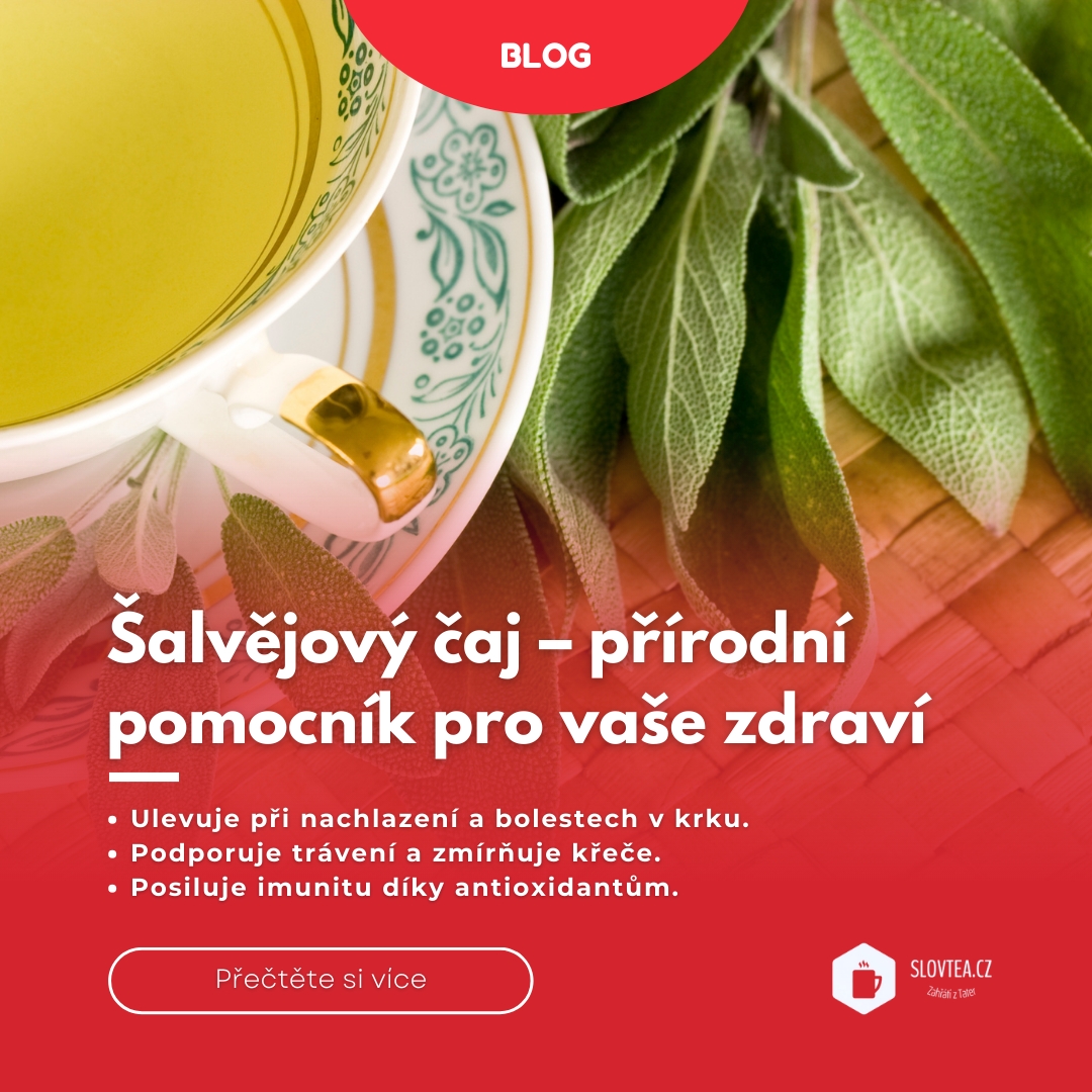 Šalvějový čaj – přírodní pomocník pro zdraví i pohodu