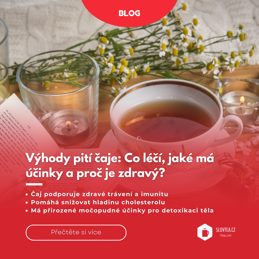 Výhody pití čaje: Co léčí, jaké má účinky a proč je zdravý?