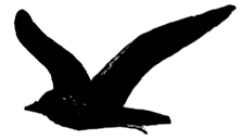 Rychlé doručení do boxu nebo na adresu