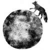 Fox on the Moon