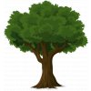 tree g49ce88470 640