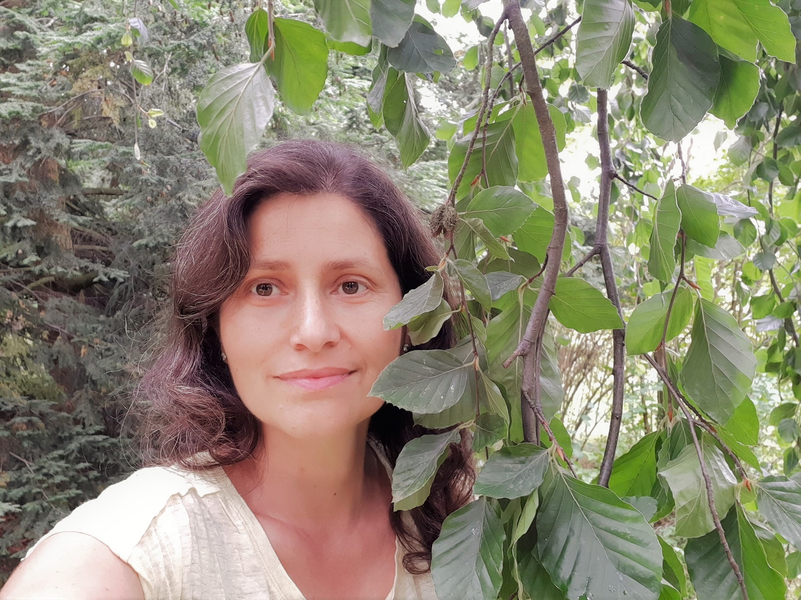 Ukaž mi, jak umíš číst, ať vím, že nejsi debil.