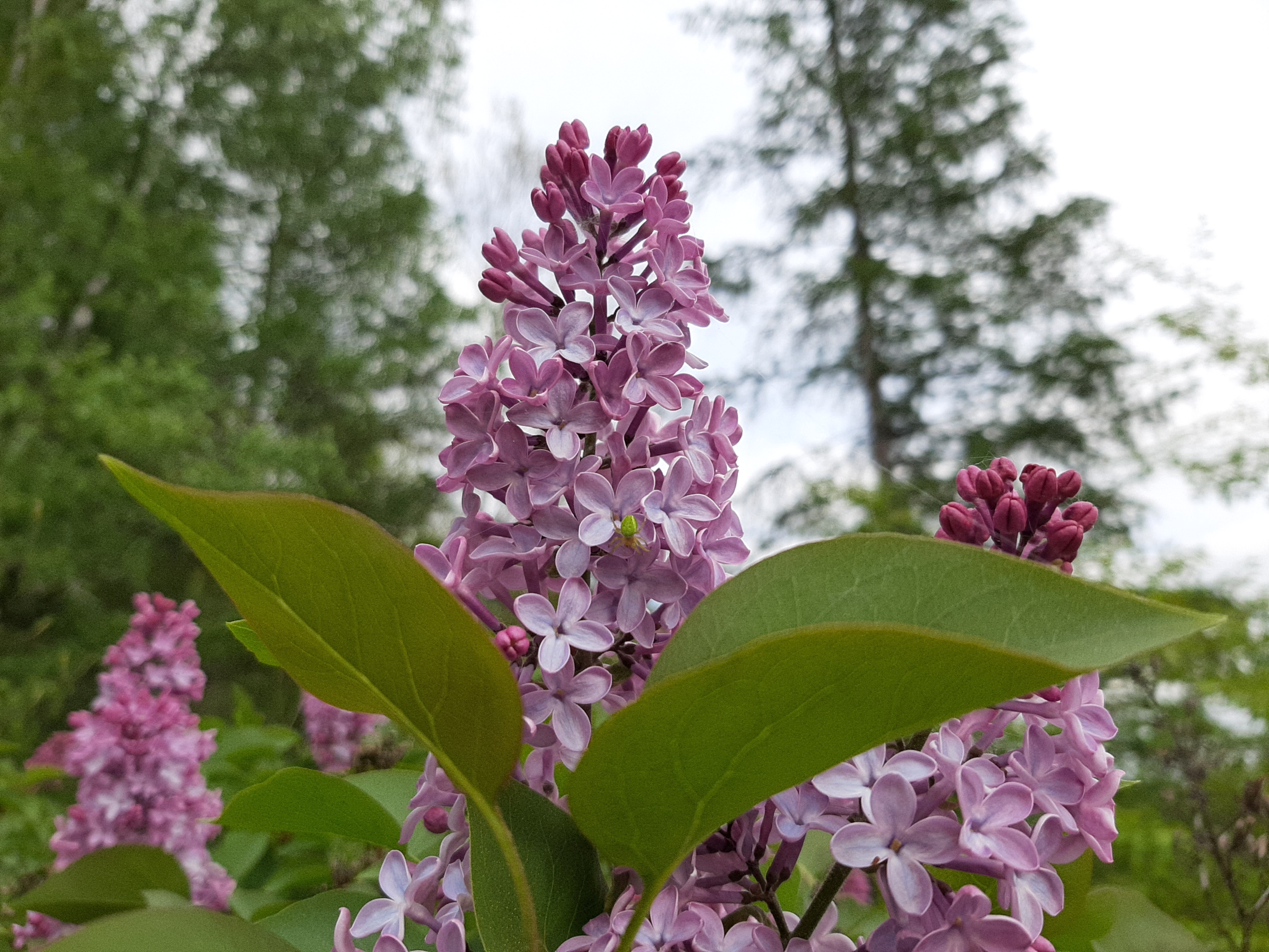 Mami, věřím, že máš nadlidské schopnosti