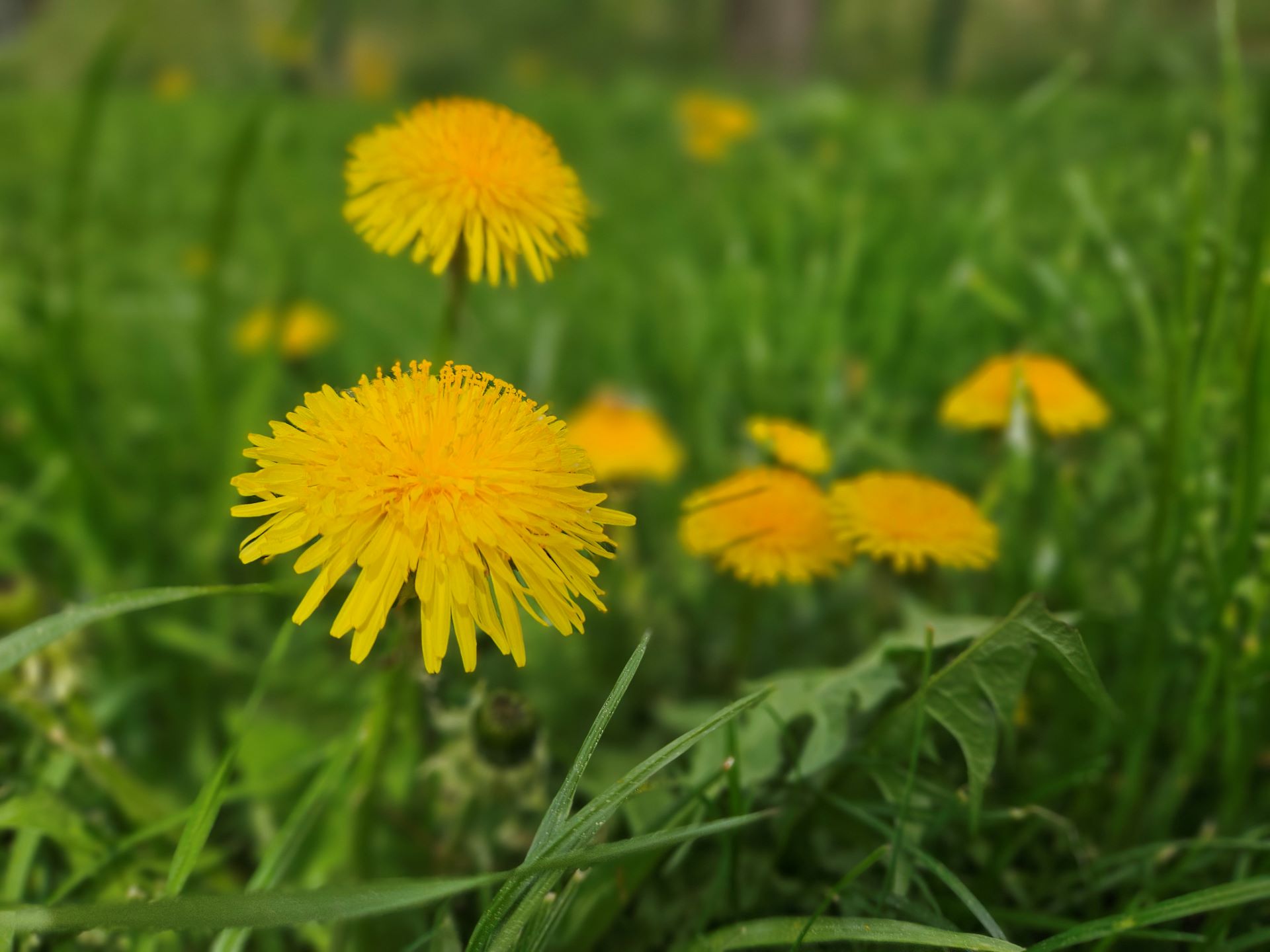 Jak zvládnout nepříjemné emoce při užívání esencí