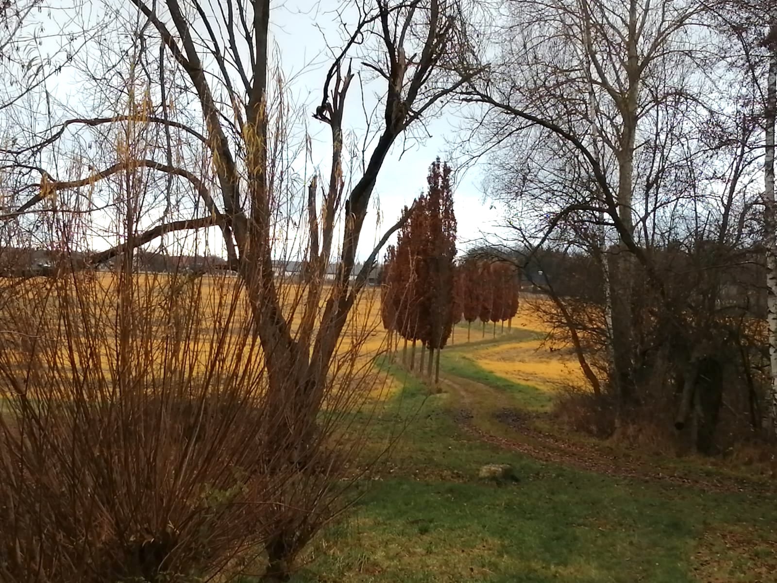 Tyranie intelektu - rozumem emoce neovládnete