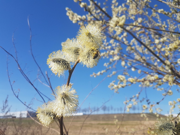 Jak být ženou? Uvolněte se