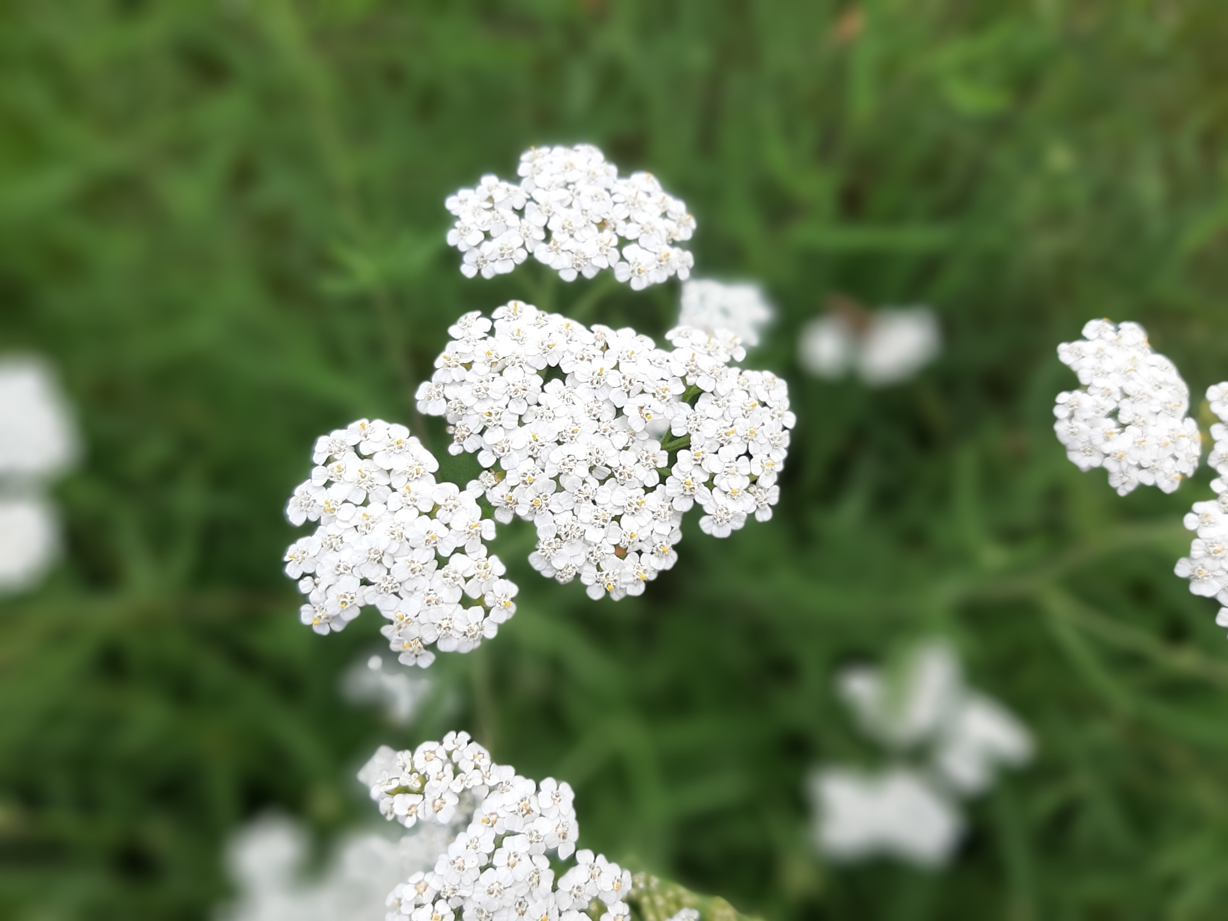 Jak tloušťka může souviset se strachem z mužů