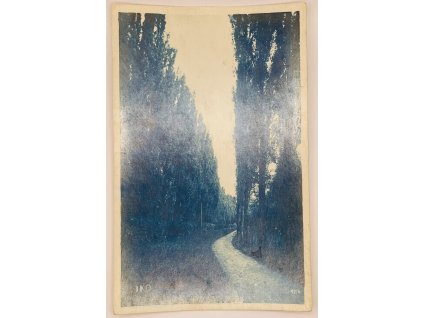 3AFD37CE 7E8A 4276 9C0C 809D2C1C09F2