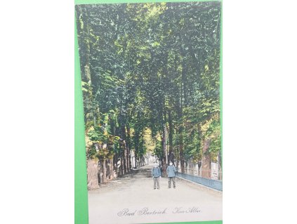 pohlednice Bad Bertrich, Mosel Kur - Alee, 1915