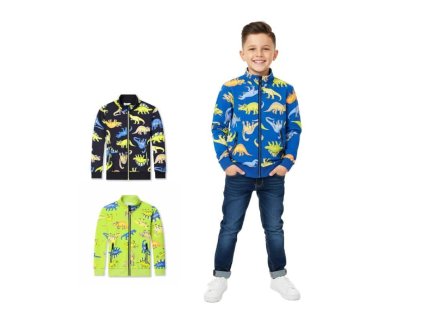 Chlapecká mikina s dinosaury se stojáčkem a zipem