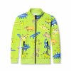Chlapecká mikina s dinosaury pro kluky 3–6 let zelinkavá