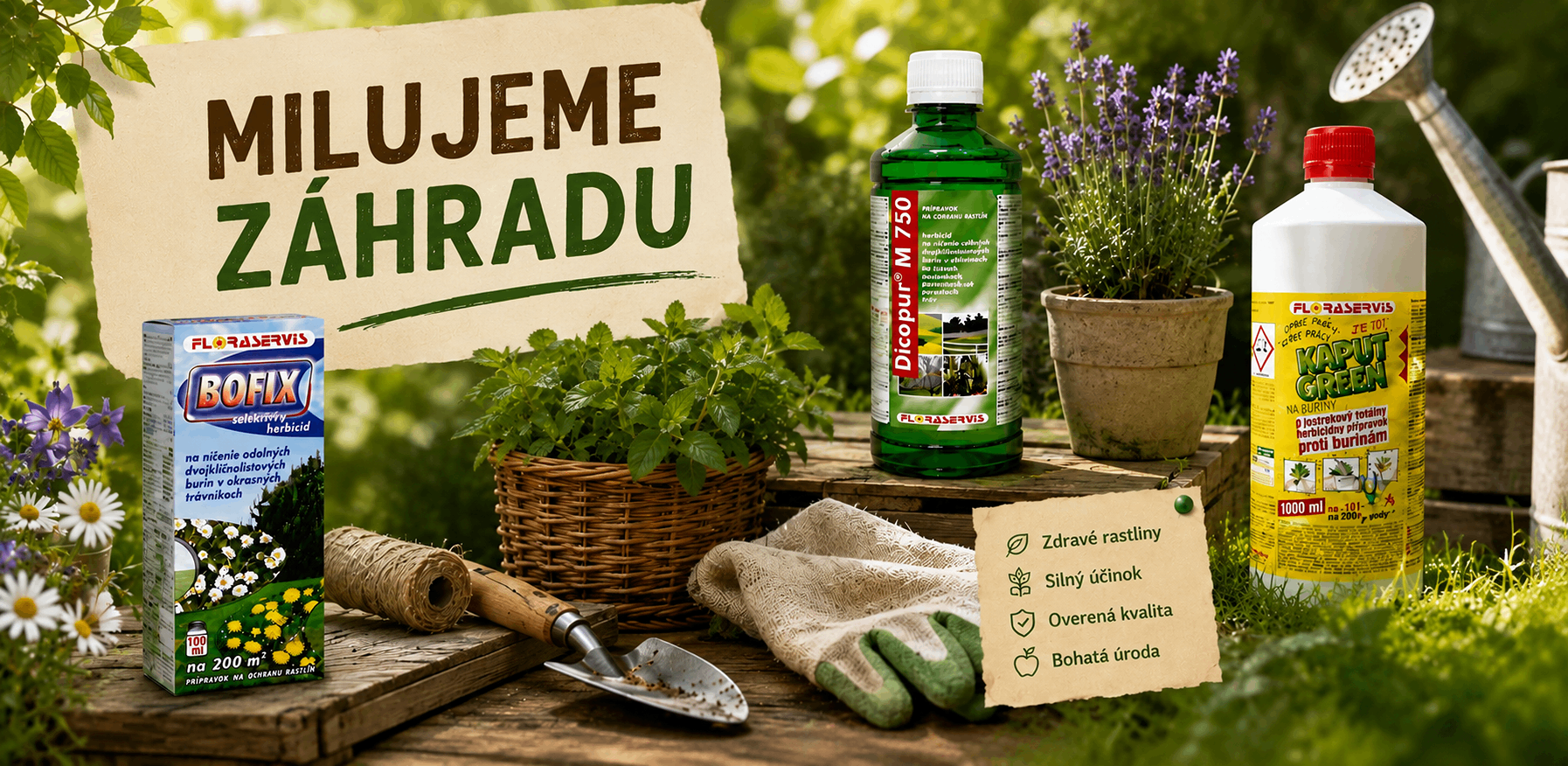 Záhrada