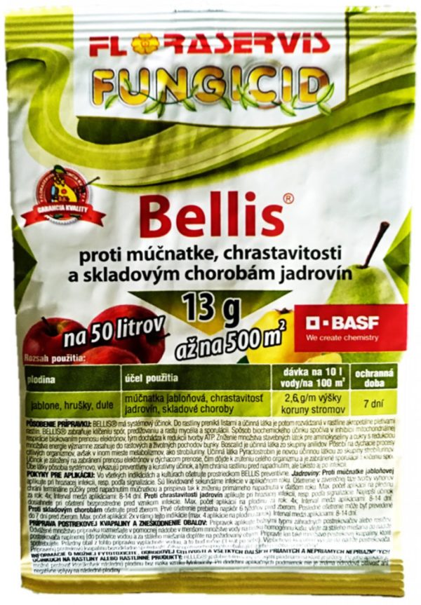 BELLIS 13g