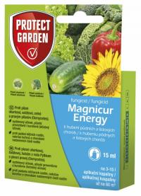 ENERGY MAGNICUR 15ml