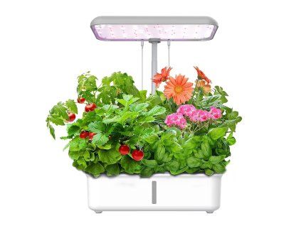 S2649ebde20c0476ead31dd2793c62373X