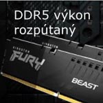 RAM Fury Beast DDR5