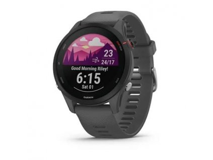 Garmin GPS sportovní hodinky Forerunner® 255, Slate Gray 010-02641-10