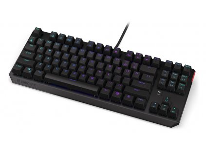 Endorfy herní klávesnice Thock TKL Red / drátová / USB / red switch / mechanická / CZ layout / černá RGB EY5C004 SilentiumPC