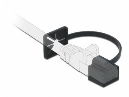 Delock Prachová záslepka pro RJ45 samec s montážní příchytkou, černý 86589 DeLock