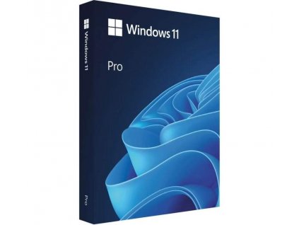Win Pro FPP 11 64-bit CZ USB HAV-00178 Microsoft