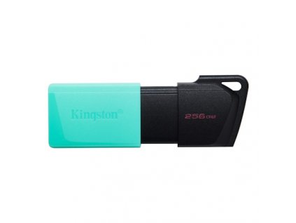 256GB Kingston USB 3.2 (gen 1) DT Exodia M DTXM-256GB