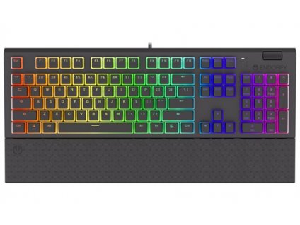 Endorfy herní klávesnice Omnis Pudd.Kaihl BL RGB /USB/ blue switch / drátová / mechanická / US layout / černá RGB EY5A031 SilentiumPC